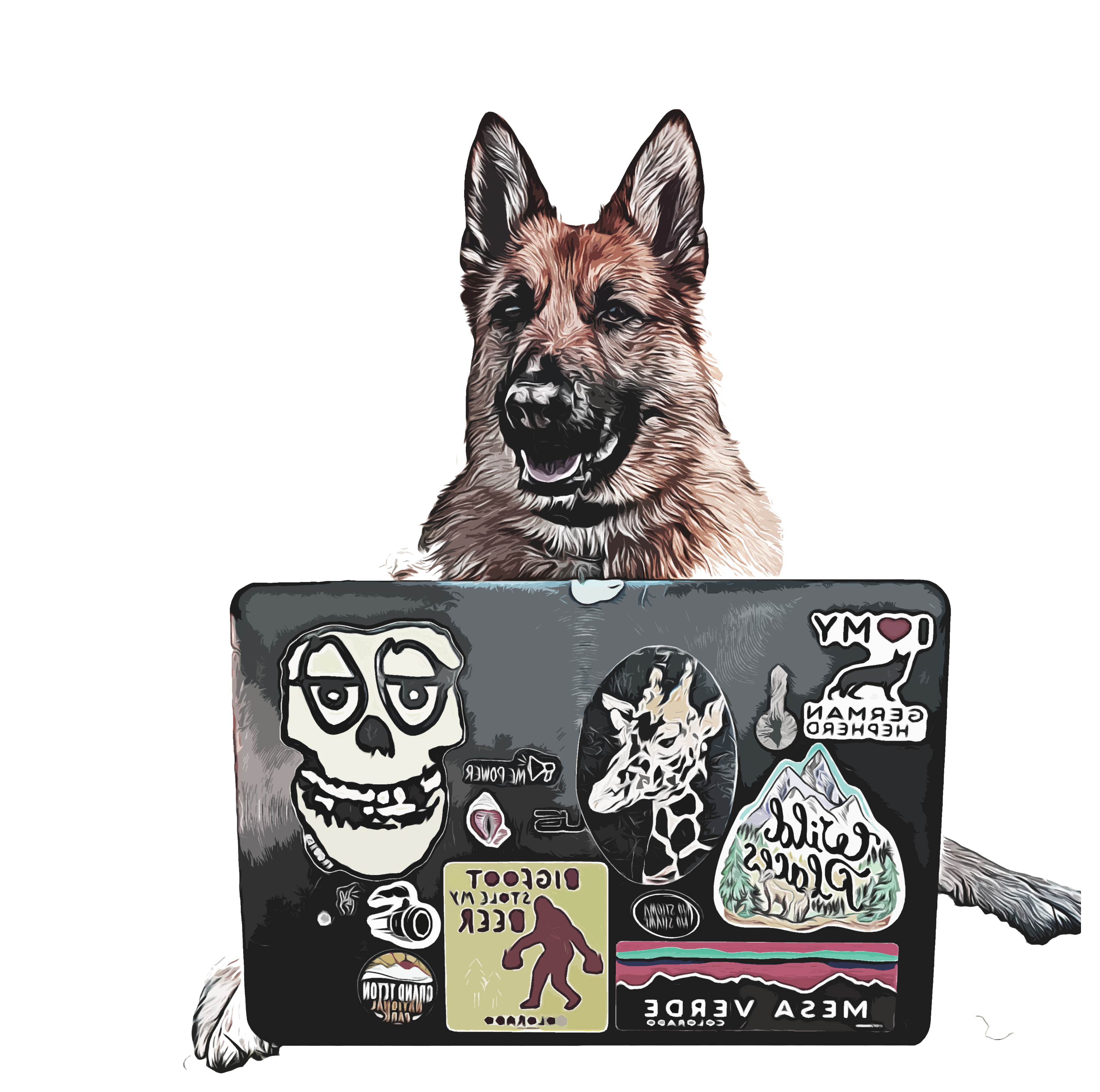 German Shepherd with laptop